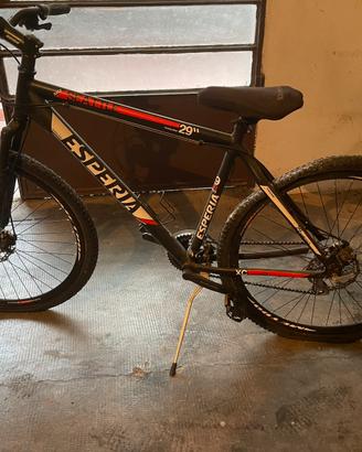 2 Biciclette