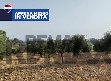 Terreno Industriale - Motta Sant'Anastasia