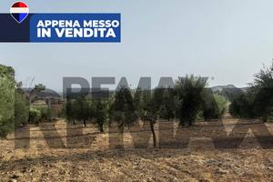 Terreno Industriale - Motta Sant'Anastasia