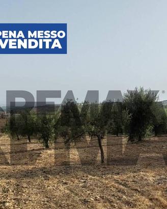Terreno Industriale - Motta Sant'Anastasia
