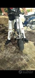 Monopattino Velocifero