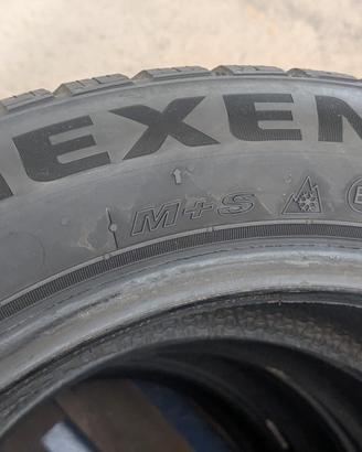 pneumatici nexen invernali