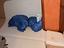 Immagine 16
