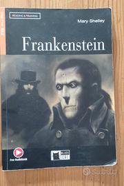 FRANKENSTEIN  in inglese