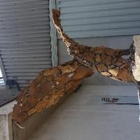Sculture in ferro