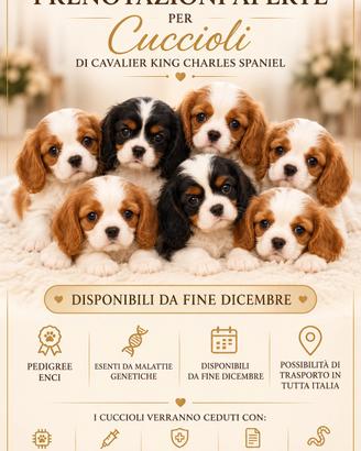 cuccioli cavalier king pedigree enci