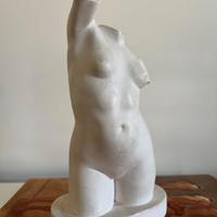 Busto Venere in gesso