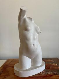 Busto Venere in gesso