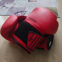 Guanti da boxe/kickboxing "outshock"