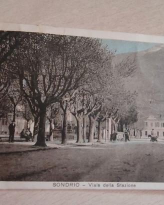 Cartolina SONDRIO Viale Stazione anni '20 - Viaggi