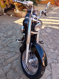 Honda VT Shadow 750