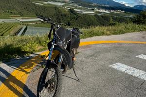beta rr 50 2008