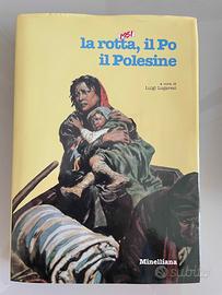 1951 LA ROTTA, IL PO IL POLESINE