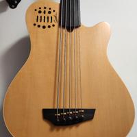 Basso Godin A5 acustico fretles