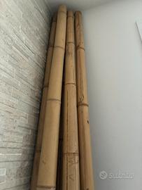 Canne Vero Bambu’ Arredamento