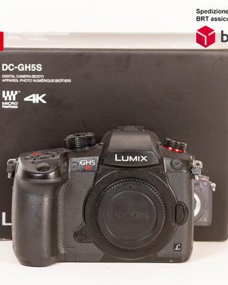 Panasonic Lumix DC-GH5S