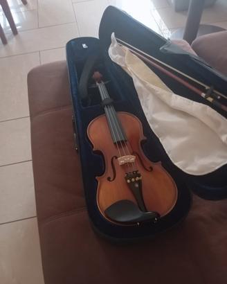 violino