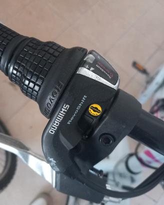 bici mountain bike bambina