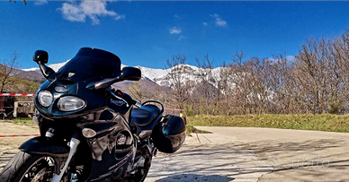 Triumph sprint st 955 2004