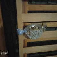 LETTINO LALI IN LEGNO