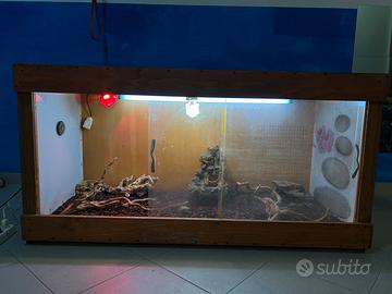 Terrario per rettili