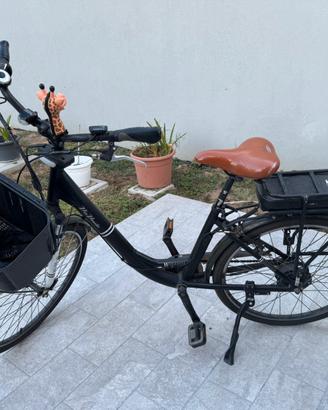 Bicicletta pedalata assistita