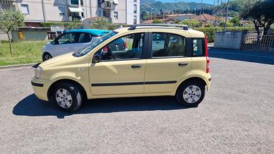 panda Fiat 