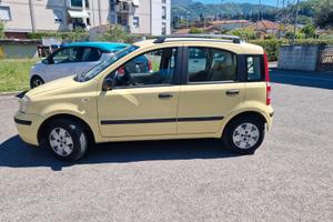 panda Fiat 