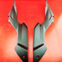 FIANCHETTO DUCATI STREETFIGHTER 1098