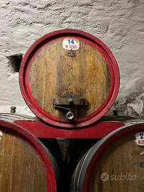 Due botti da vino Carbellotto