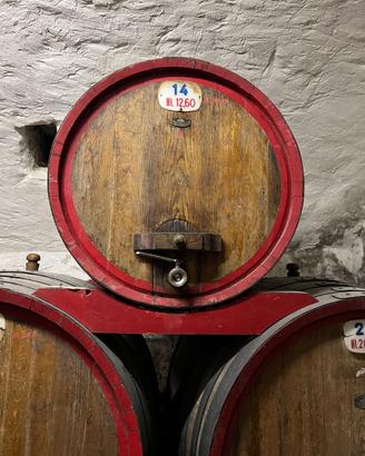 Due botti da vino Carbellotto