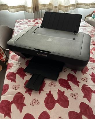 Stampante canon pixma mg2550s