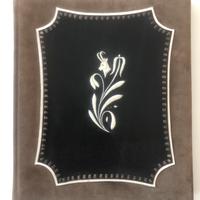 Foto dell album in pelle