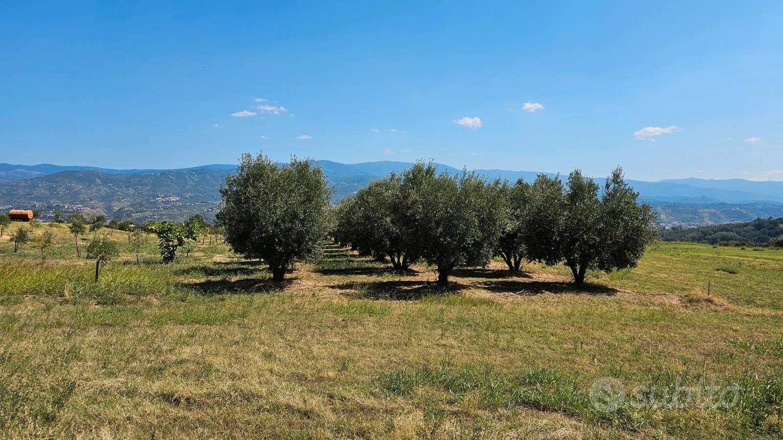 Terreno edificabile localita' piano monello - Vista 2