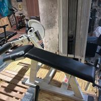 Leg curl panatta sport rehab line