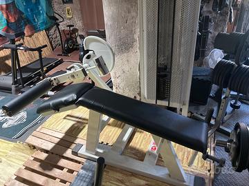 Leg curl panatta sport rehab line