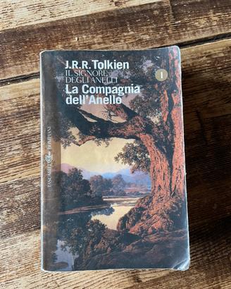 Il signore degli anelli - la compagnia dell’anello
