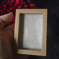 Muta di serpente incorniciata 