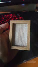 Muta di serpente incorniciata 