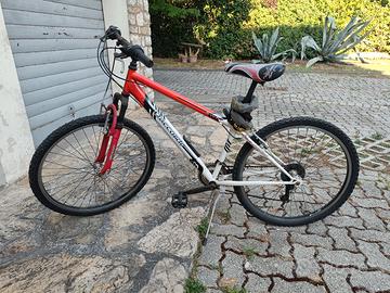 Bici / Bicicletta Daccordi con due catene e luci
