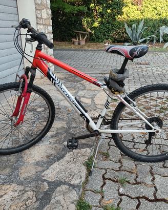 Bici / Bicicletta Daccordi con due catene e luci