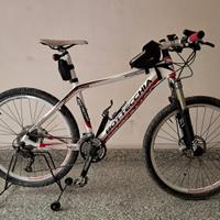 Bicicletta Bottecchia