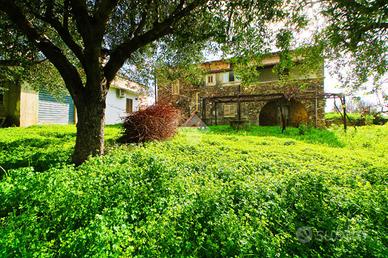 TRIFAMILIARE A PISCIOTTA