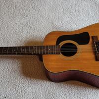 Chitarra 12 corde Washburn