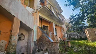 Soluzione con giardino