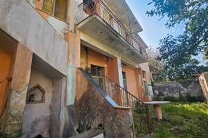 Soluzione con giardino