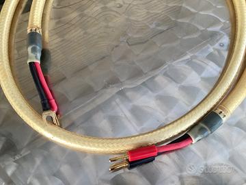 Cavi Straight Wire Maestro