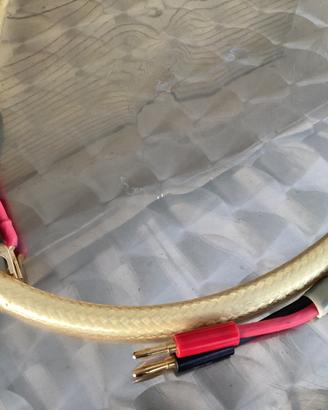 Cavi Straight Wire Maestro