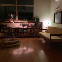 Divano DUETTO Plinio il Giovane giallo senape