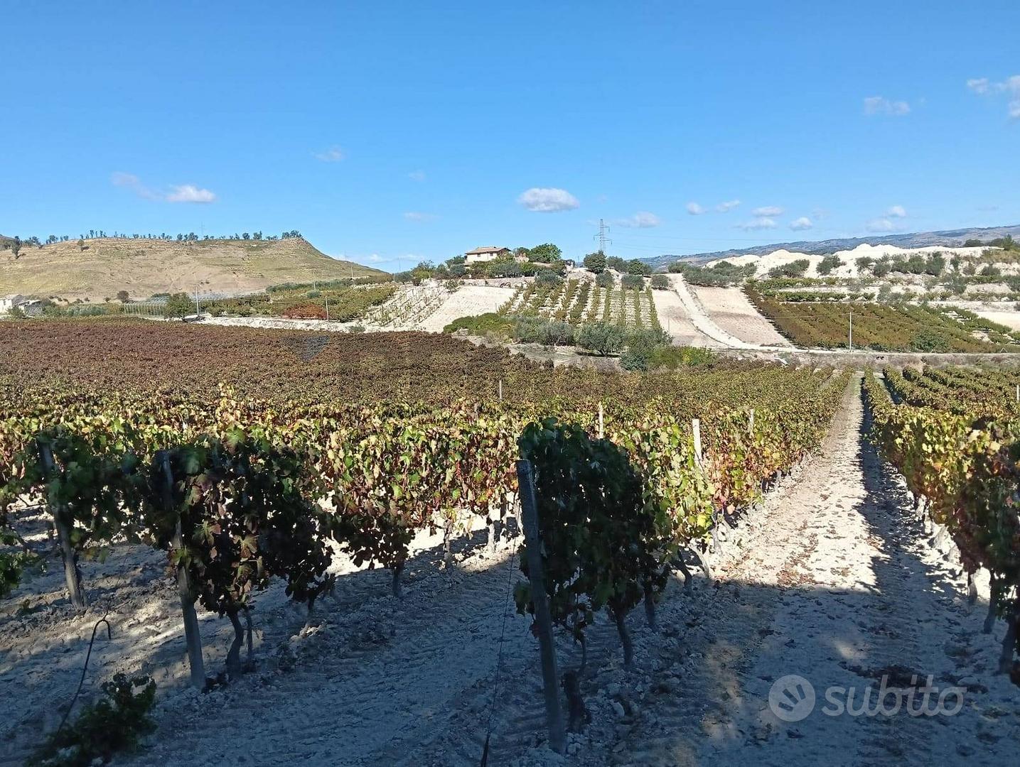 Terreno - Caltagirone - Vista 4